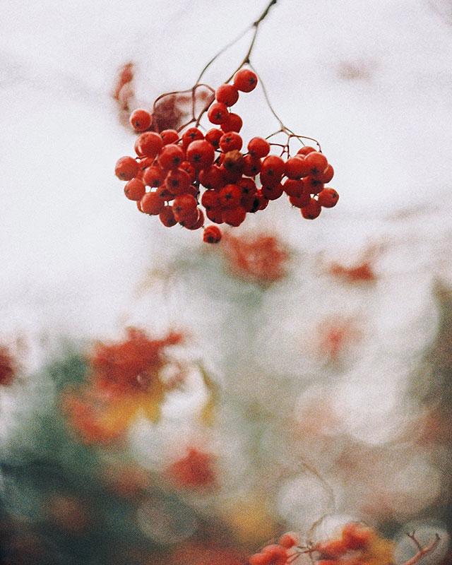 Interiér spojený s přírodou.